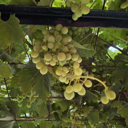 Casa Dei Fiori Βίλα Sarakinádhon Εξωτερικό φωτογραφία