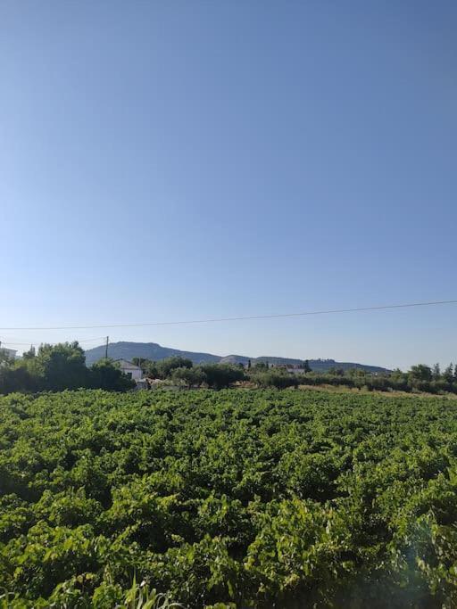 Casa Dei Fiori Βίλα Sarakinádhon Εξωτερικό φωτογραφία